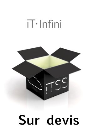 L'offre IT-Infini